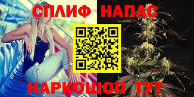 шишки Кунгур
